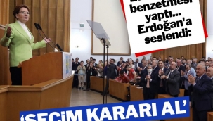 Meral Akşener Erdoğan’a çağrı yaptı: Seçim kararı al