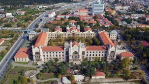 Her taşın altından 'arkadaş’ çıkıyor