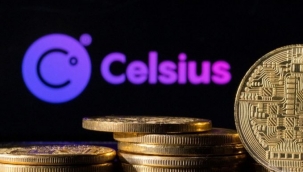 Kripto bankasından iflas başvurusu