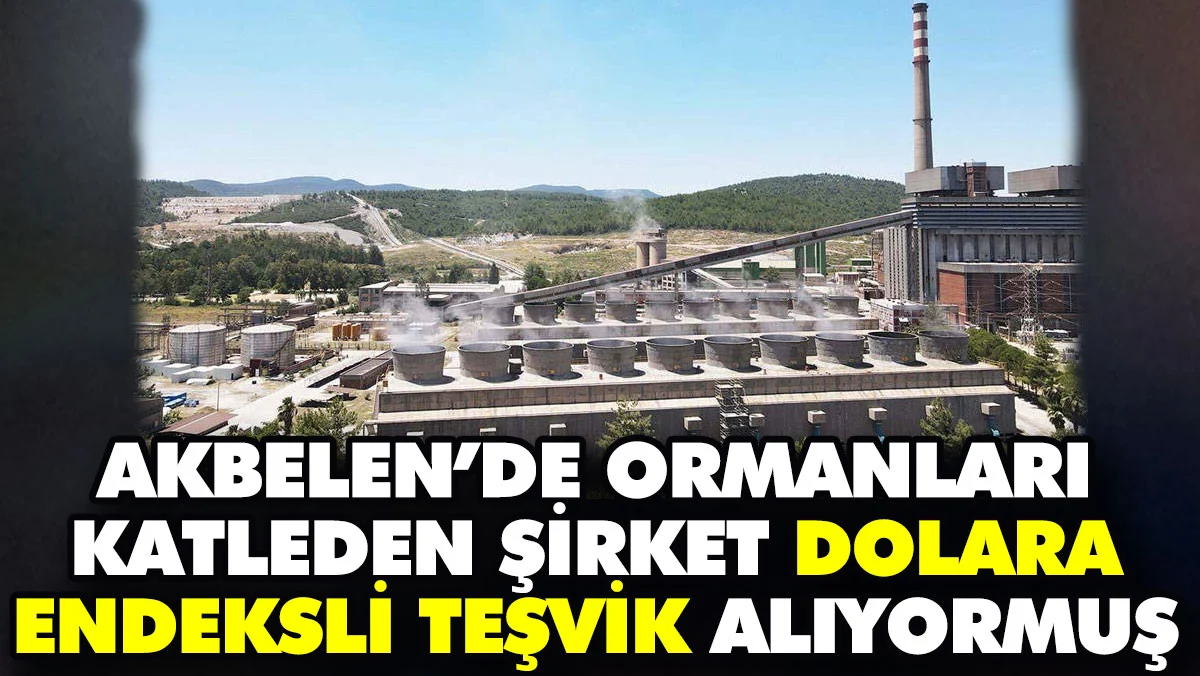 Akbelen’de ormanları katleden şirket dolara endeksli teşvik alıyormuş