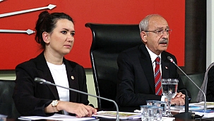 CHP’de ‘yeni danışman’ rahatsızlığı: Gökçe Gökçen de tepki gösterdi