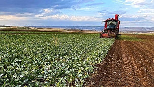 Çiftçilere mazot, gübre ve prim desteği 17 üründe kaldırıldı